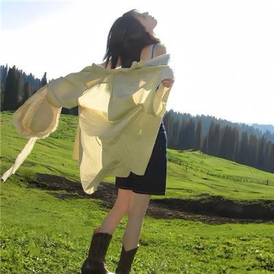 霸王大系龙骑士